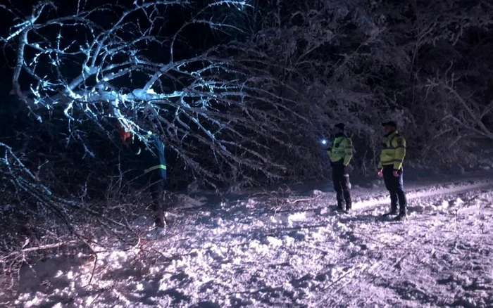 viscolhd vaijelie iarna foto isu hunedoara