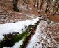 catunul valea talharului foto daniel guta adevarul