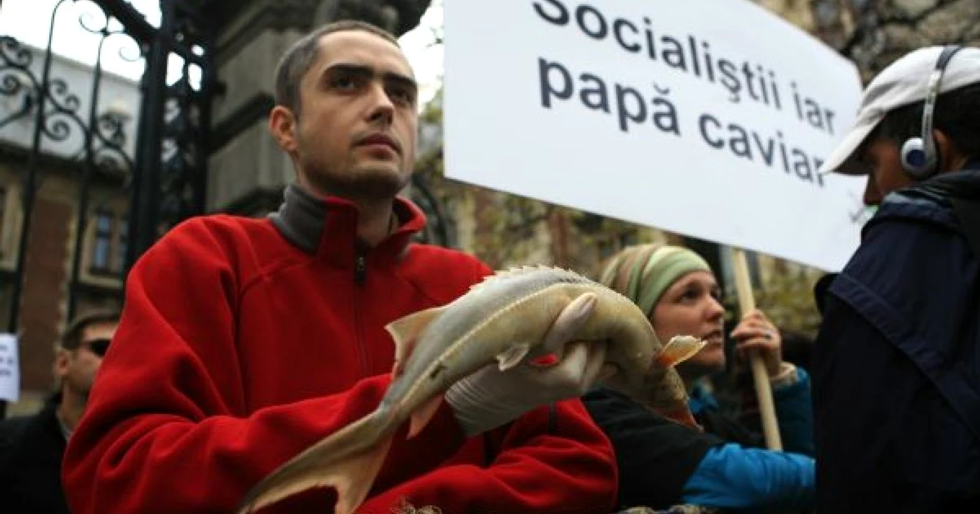 Protest împotriva legii care permite pescuitul de sturioni