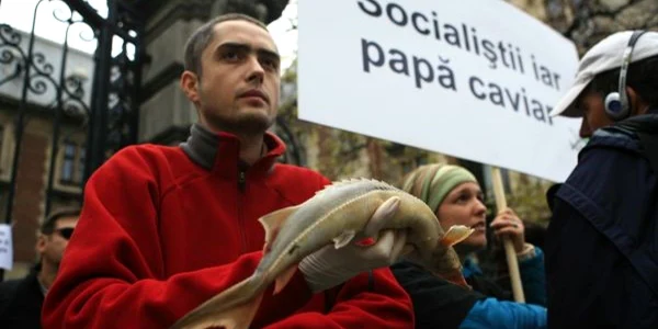 Protest împotriva legii care permite pescuitul de sturioni