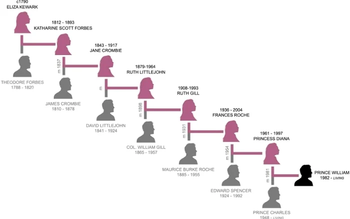 1 prince williams maternal lineage from eliza kewark jpg jpeg