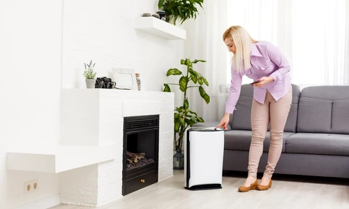 La ce se foloseste dezumidificatorul in casa 5 AVANTAJE pe care trebuie sa le cunosti jpg