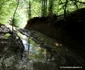 drum lunca cernii rusca hunedoara caras severin foto daniel guta adevarul