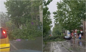furtuna bucuresti jpg