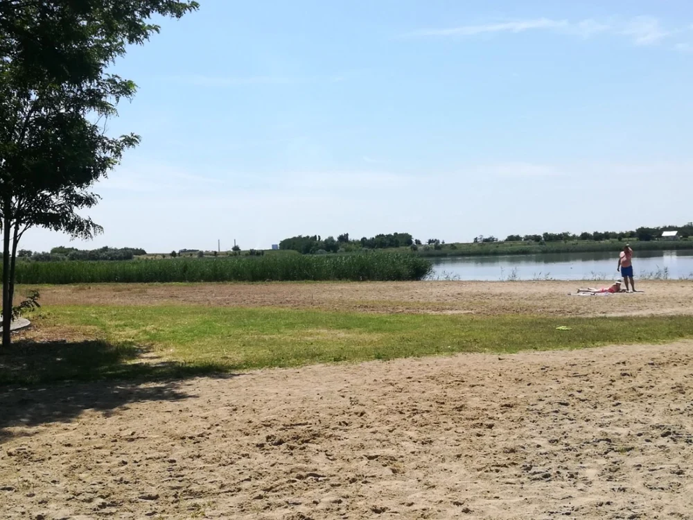 Început de sezon cu buruieni pe plajă la Amara FOTO: M. Sofronie