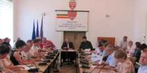 Consilierul local Liana Mănăilă vrea ca accesul copiilor în localurile în care se serveşte alcool să fie interzis