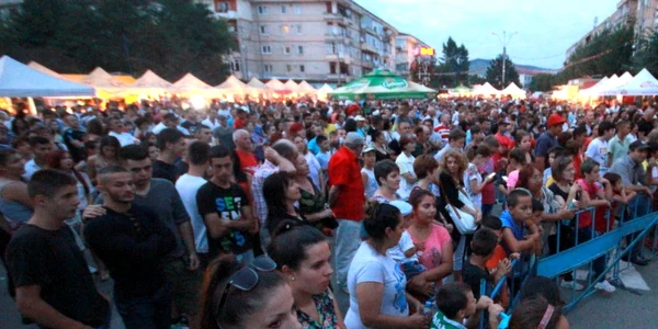 Zilele oraşului Călan