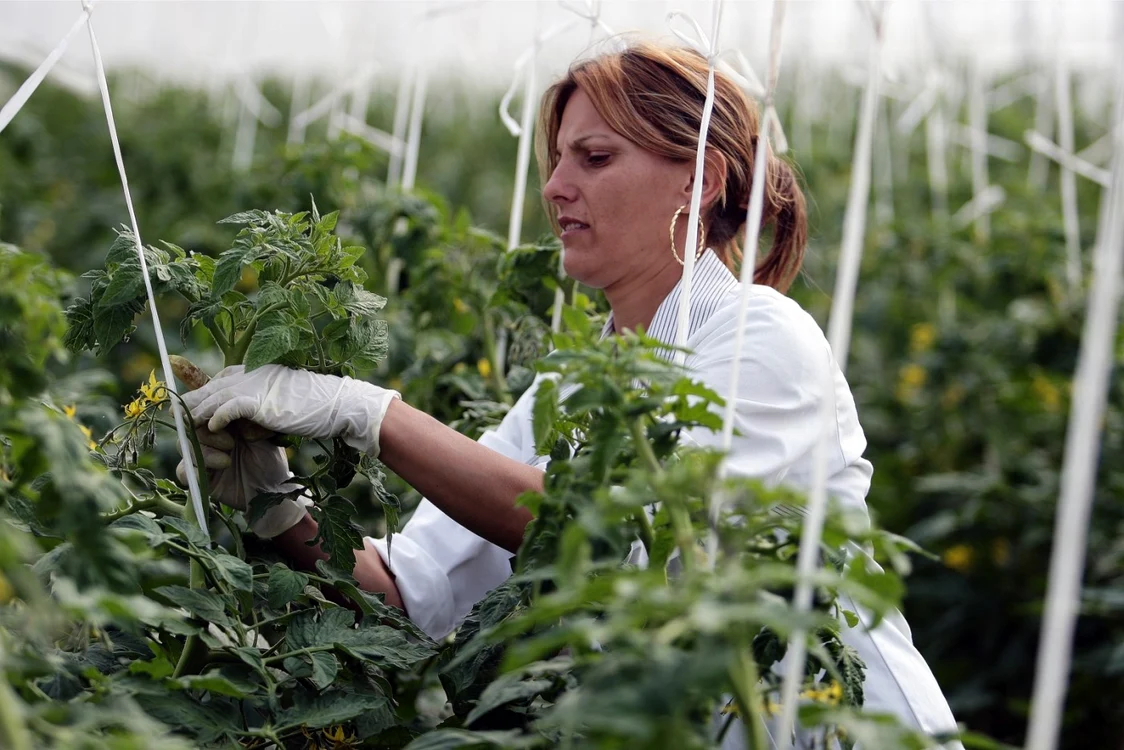 Idei de afaceri în agricultură