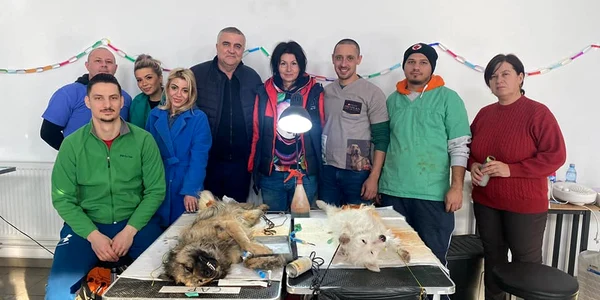 echipa campanie sterilizare jpg