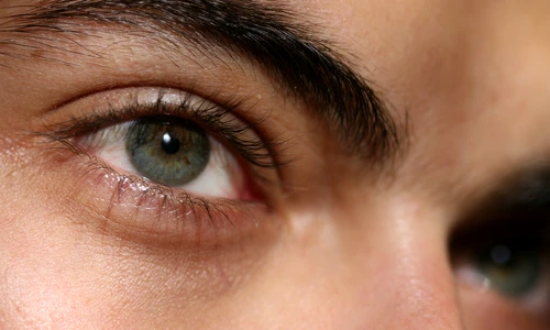 barbat gene shutterstock 19481152 jpg