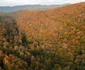 Cabana Prislop din Muntii Sureanu Foto Lucian Ignat (5) jpg