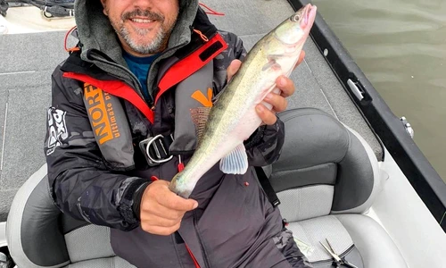 8 chef sorin bontea jpg jpeg