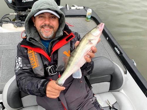 8 chef sorin bontea jpg jpeg