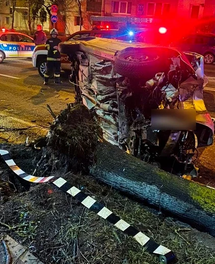 Un copac a fost scos din rădăcini în urma impactului. FOTO: ISU Cluj