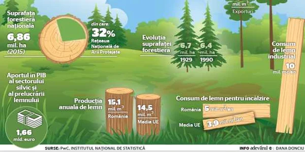Fondul forestier_WEB