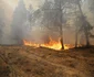 Incendiu la Cernobîl Ucraina FOTO EPA-EFE / Yaroslav Yemelianenko