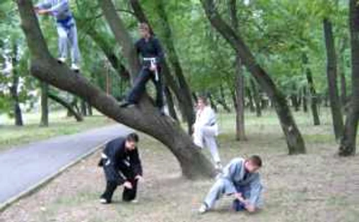 Turnu Severin: Antrenamente ninja în Pădurea Crihala