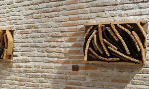 Apicultură şi sculptură jpeg
