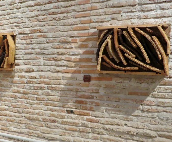 Apicultură şi sculptură jpeg