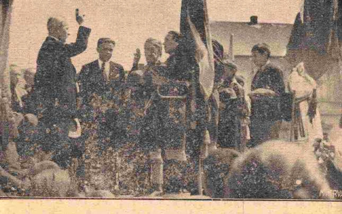 cercetasi zalau foto