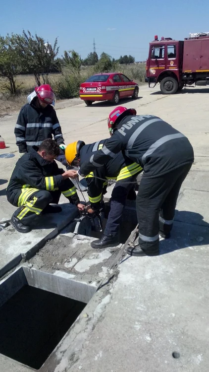 Pompierii lărgesc gura canalului pentru a putea să scoată animalul căzut
