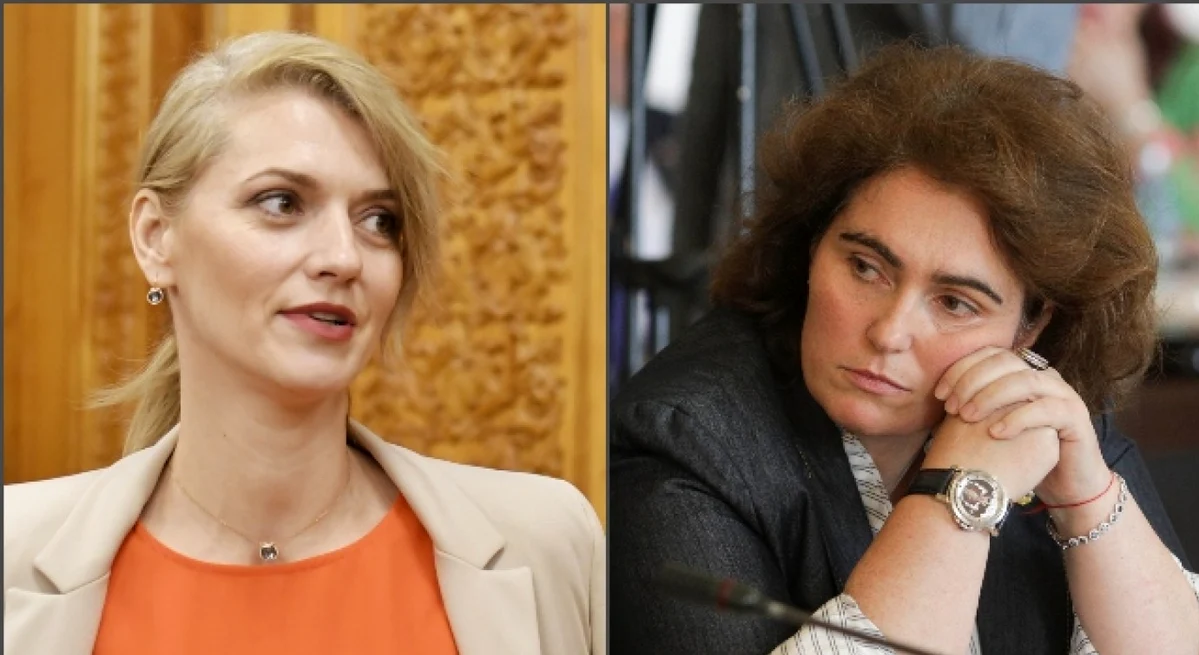 Alina Gorghiu și Iuliana Scântei, inițiatoarele proiectului FOTO Colaj