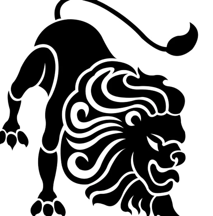 Leii trebuie să se gândească bine înainte de a lua deciziiFoto: Pinterest