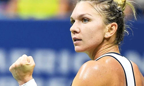 halep 89855151515 jpeg