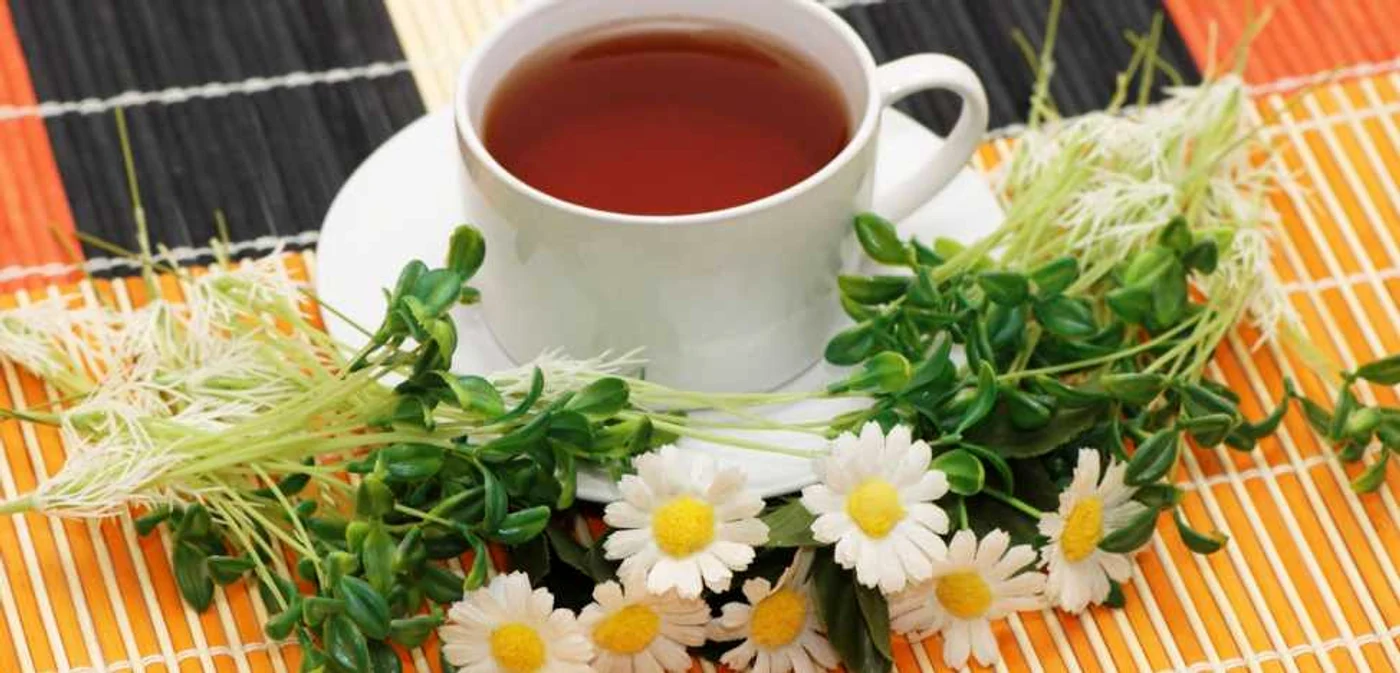 Ceaiul de muşeţel te înveseleşte FOTO Shutterstock