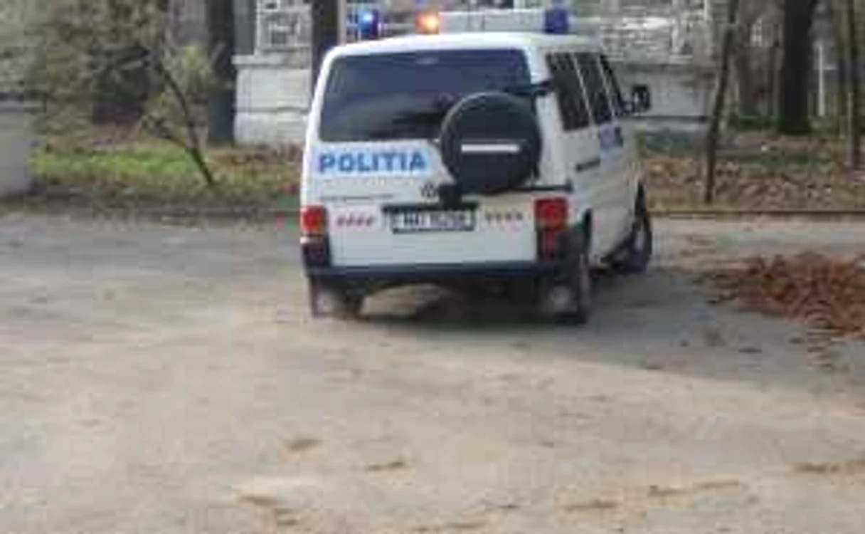 ARHIVĂ NICOLETA BUTNARU