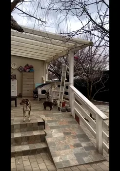 Casa consturită de Oreste / foto: Facebook