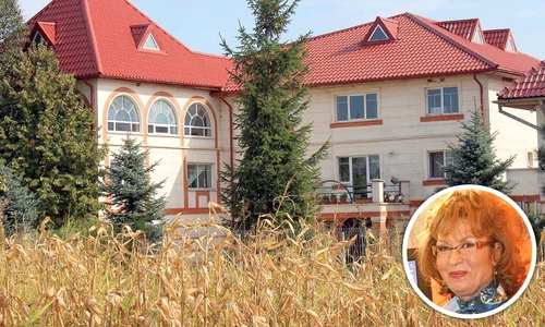 650 000 de euro  Palatul Angelei Similea are 16 camere şi o suprafaţă utilă de 1 000 mp  jpeg