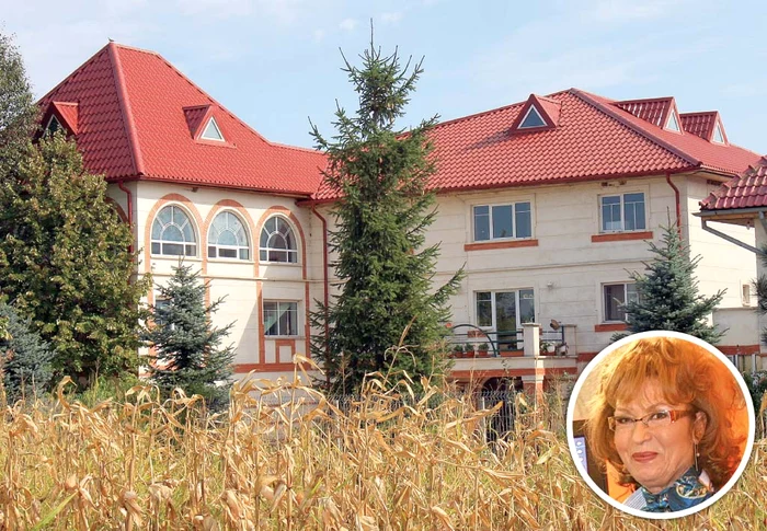 650.000 de euro. Palatul Angelei Similea are 16 camere şi o suprafaţă utilă de 1.000 mp