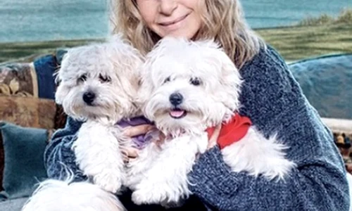 barbara streisand png