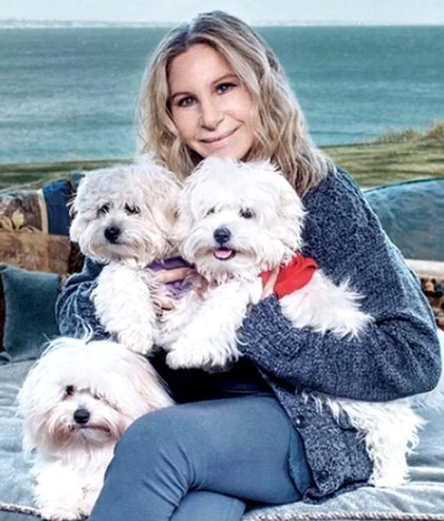 barbara streisand png
