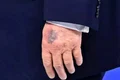 trump vanataie jpg