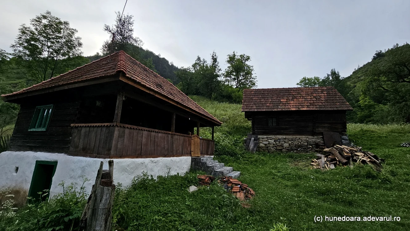 Satul Runcu Mare (foto: Daniel Guță / Adevărul)