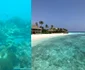 Turism Ithaa restaurantul de sub ape din Maldive Foto tripadvisorcom