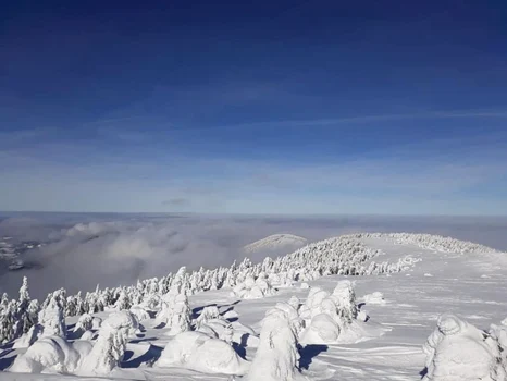 zapada iarna vladeasa