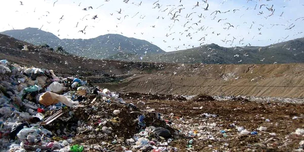 groapa de gunoi