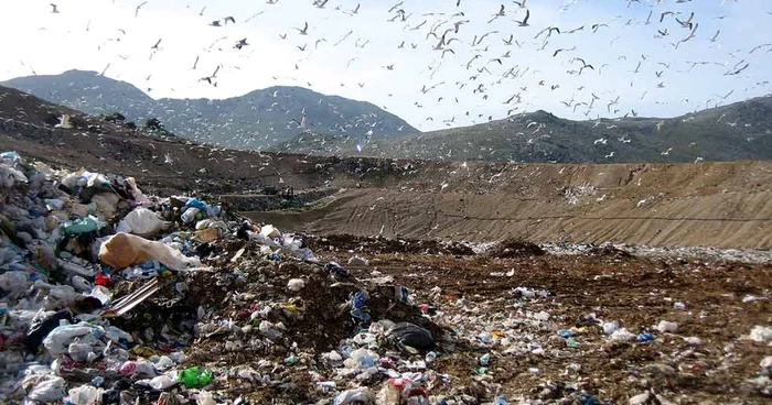 30 de milioane de euro pentru gestionarea deşeurilor FOTO Arhivă Adevărul