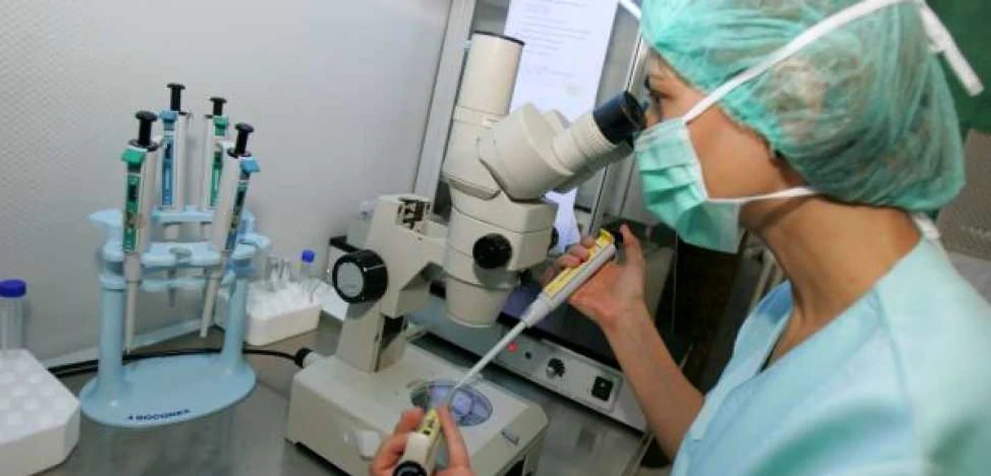 Medicii români se pot specializa în fertilizare in vitro printr-un program de e-learning FOTO Arhivă Adevărul