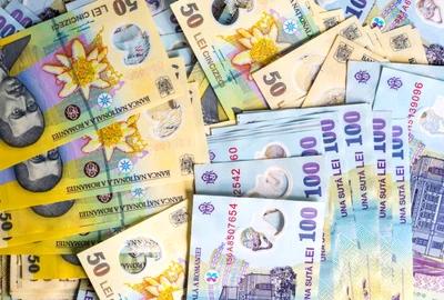 bancnote bani lei FOTO Shutterstock