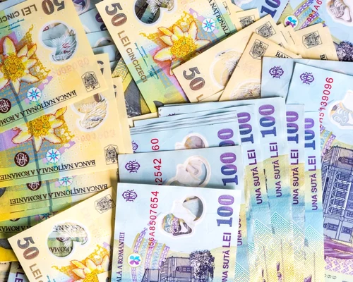 bancnote bani lei FOTO Shutterstock