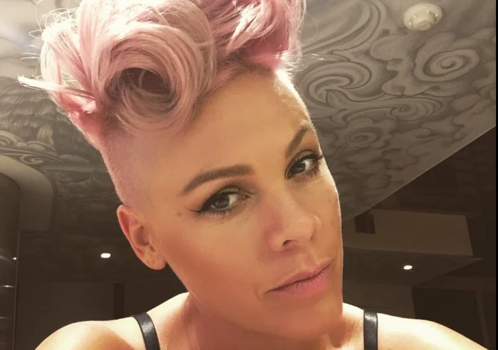 
    Pink a pus din nou fanii pe jarFoto Instagram  