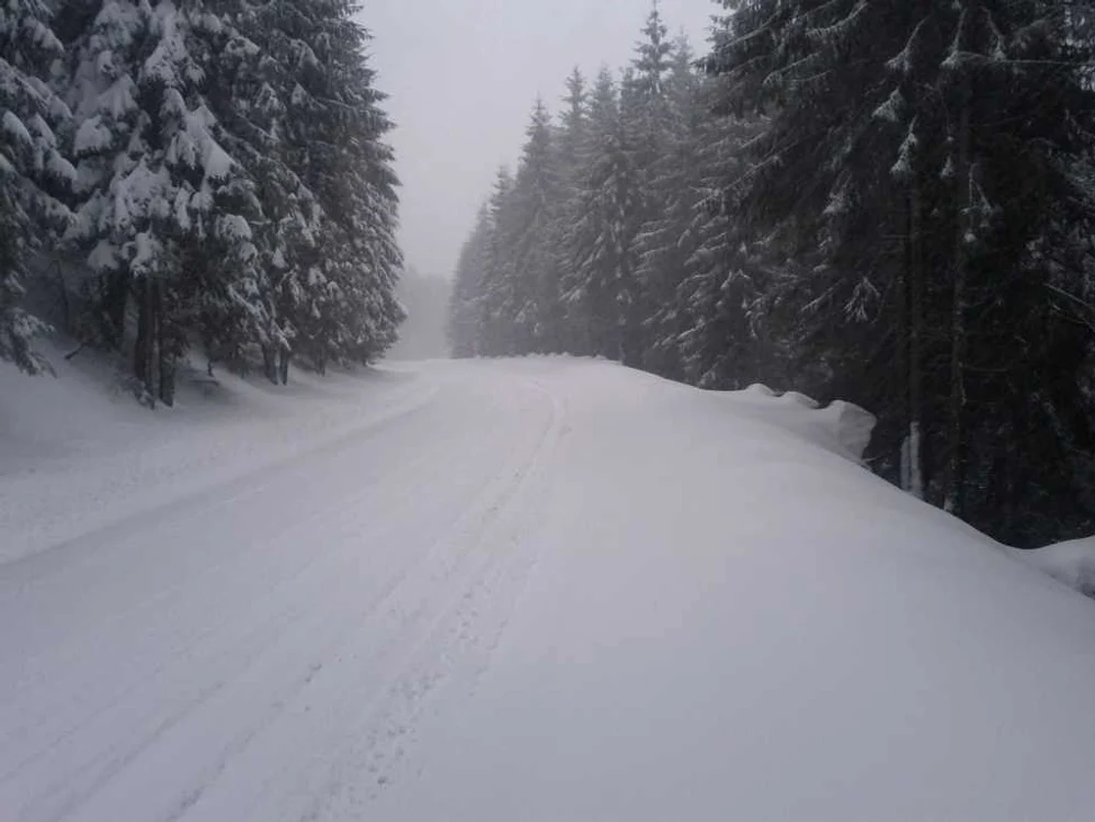 Zăpadă la Arieşeni în Munţii Apuseni