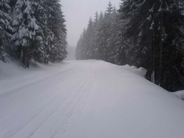 Zăpadă la Arieşeni în Munţii Apuseni