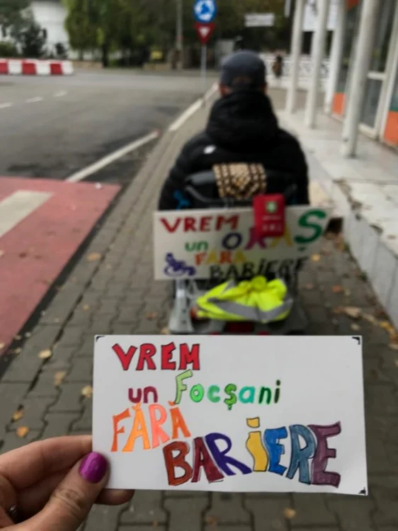 proiect dizabilitati