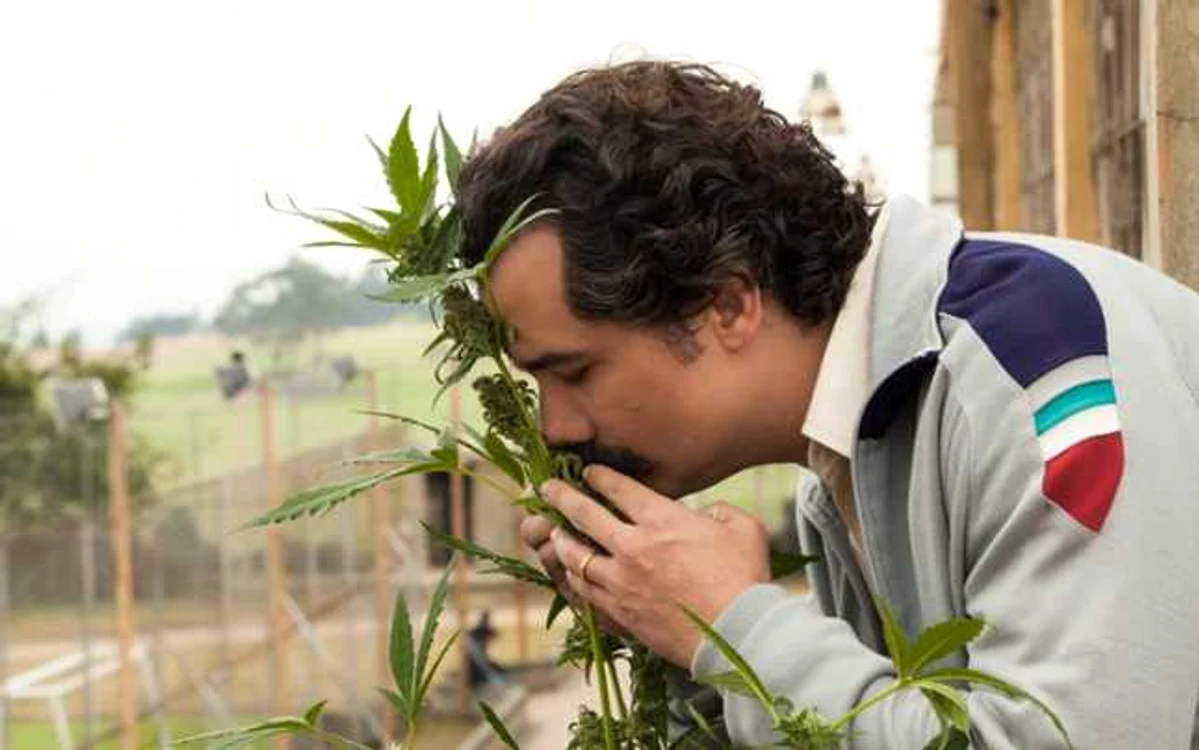 Românii au devorat aventurile lui Pablo Escobar FOTO Netflix
