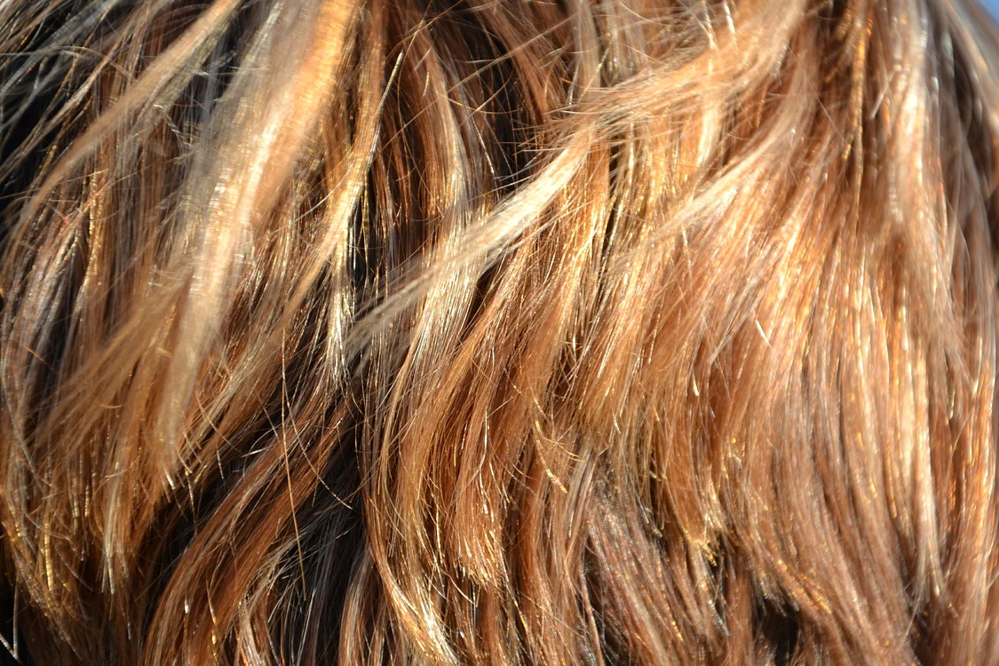 1 hair 418265 1920 jpg jpeg
